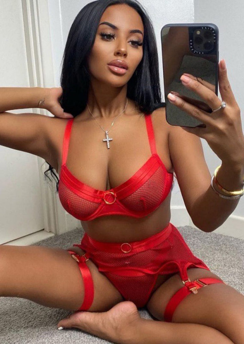Mesh & Metal Lingerie Set
